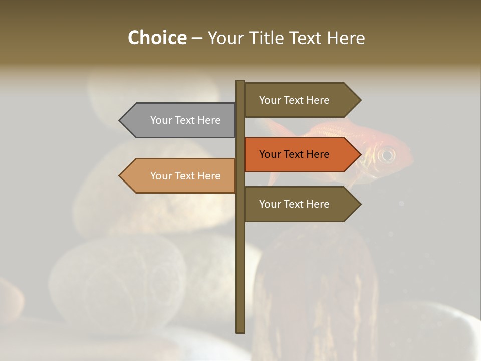 Pet Stone Reflection PowerPoint Template