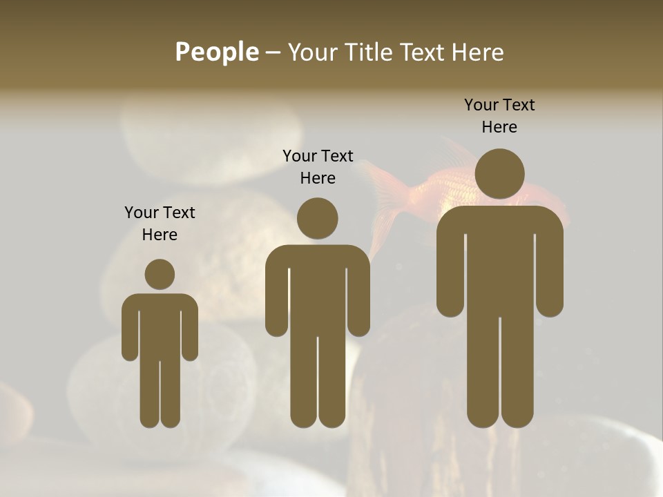 Pet Stone Reflection PowerPoint Template