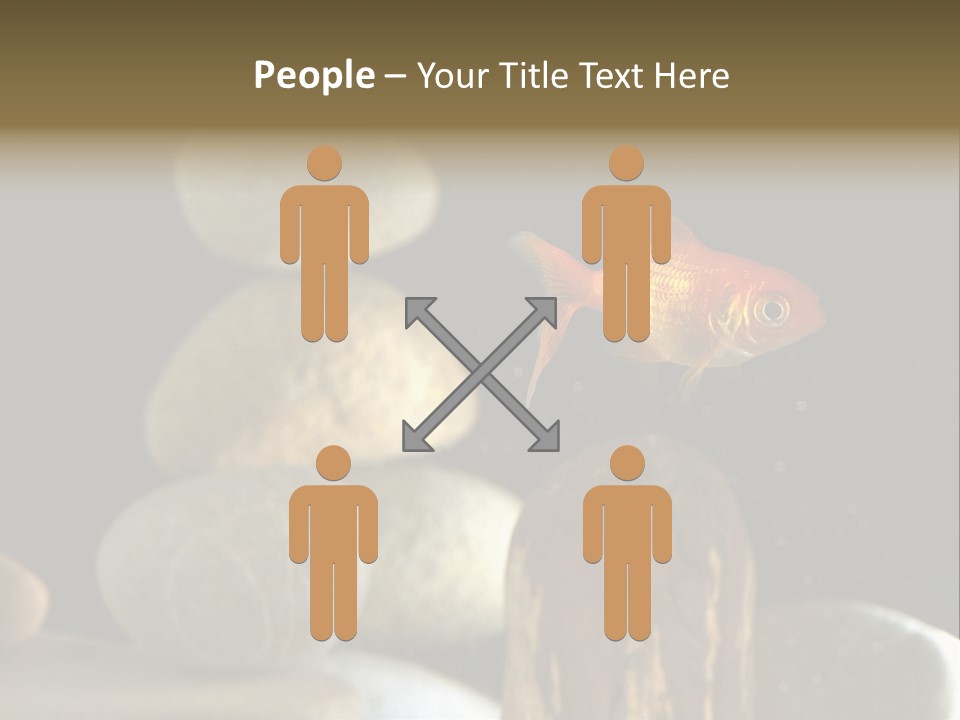 Pet Stone Reflection PowerPoint Template