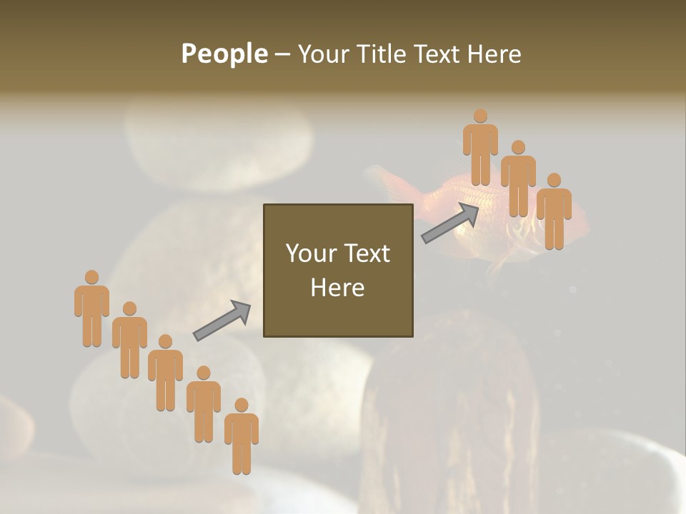 Pet Stone Reflection PowerPoint Template