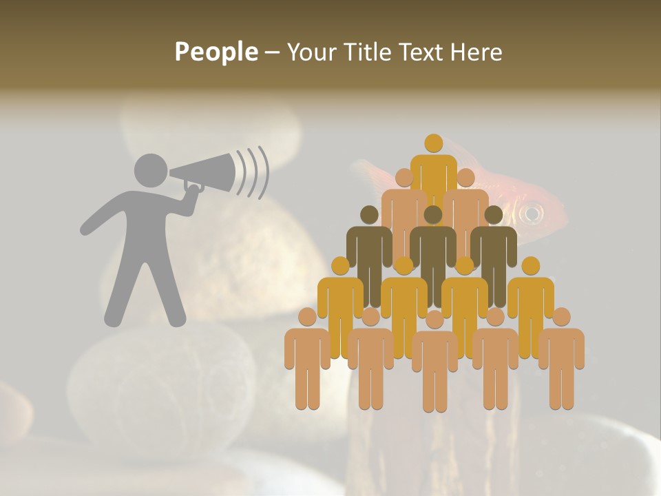 Pet Stone Reflection PowerPoint Template