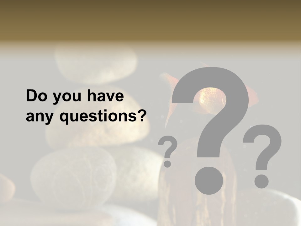 Pet Stone Reflection PowerPoint Template