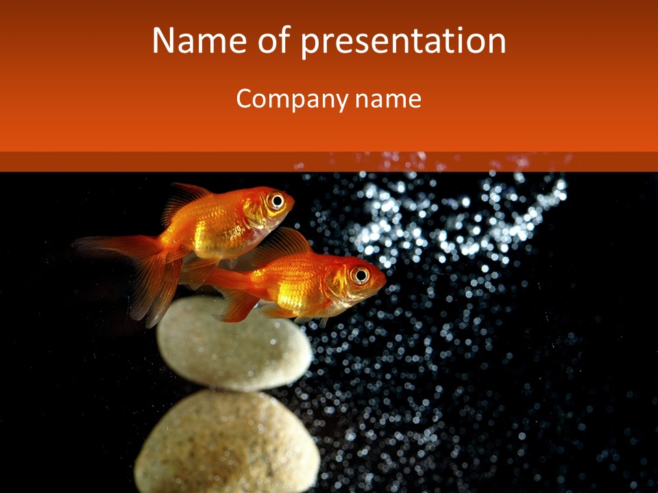 Fish Tank Tank Aquarium PowerPoint Template