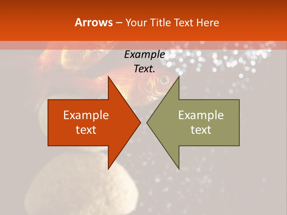 Fish Tank Tank Aquarium PowerPoint Template
