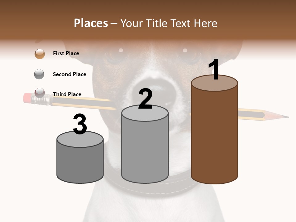 Chart Portrait Wood PowerPoint Template
