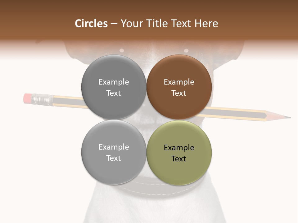 Chart Portrait Wood PowerPoint Template