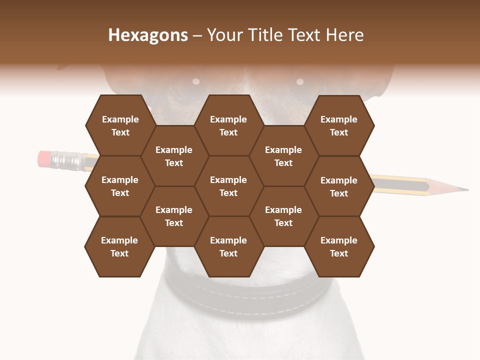 Chart Portrait Wood PowerPoint Template