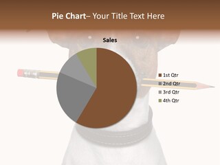 Chart Portrait Wood PowerPoint Template