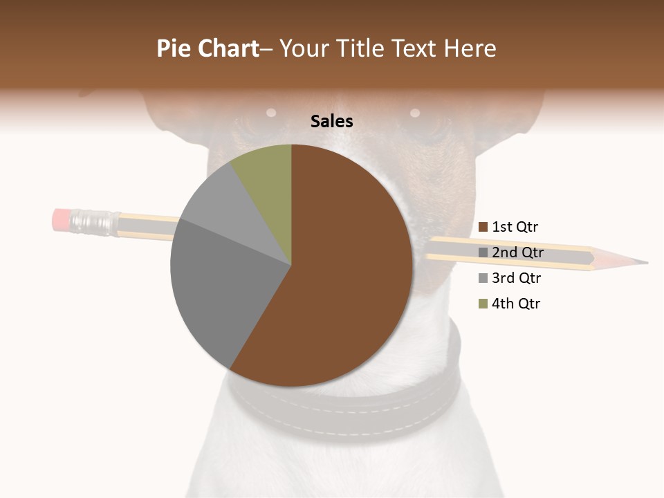 Chart Portrait Wood PowerPoint Template