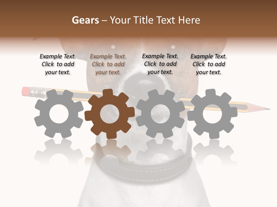 Chart Portrait Wood PowerPoint Template