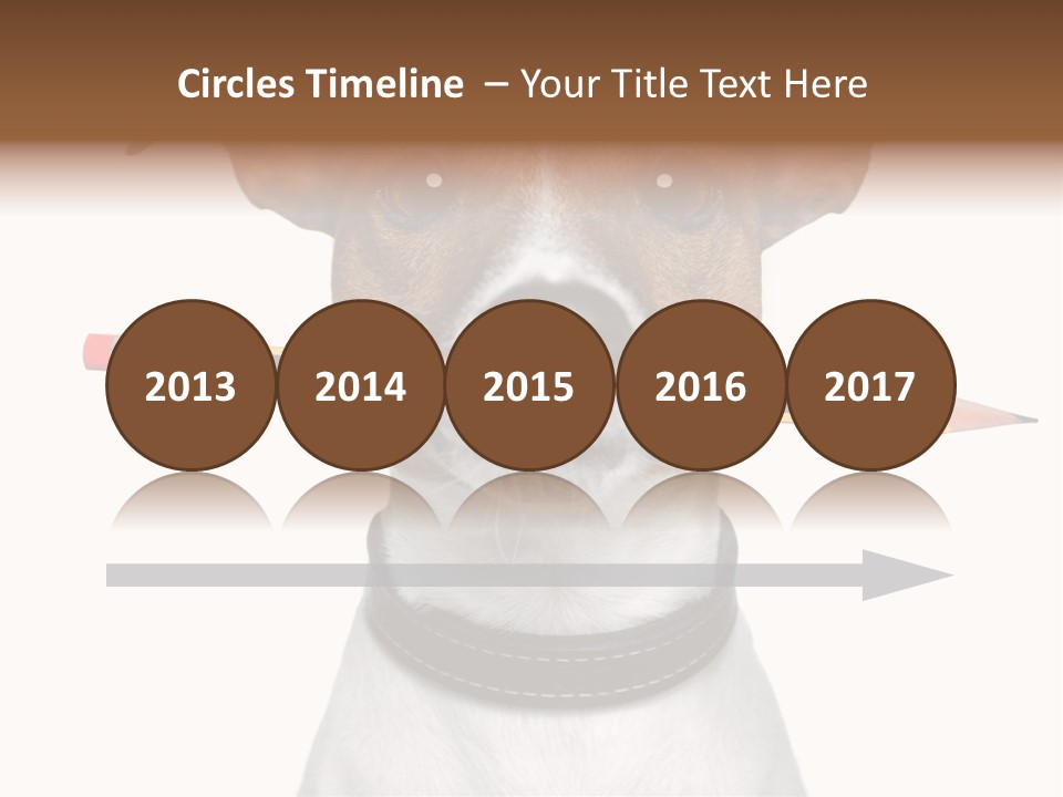 Chart Portrait Wood PowerPoint Template