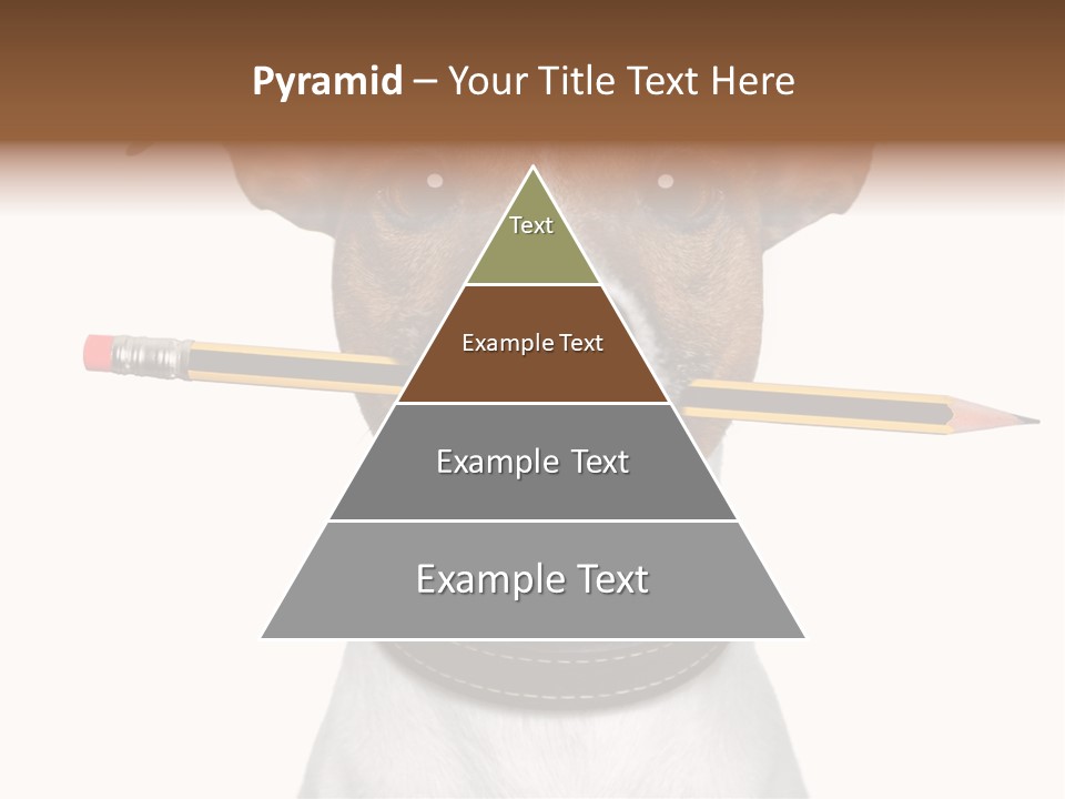 Chart Portrait Wood PowerPoint Template