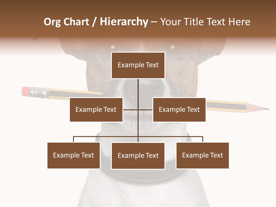 Chart Portrait Wood PowerPoint Template