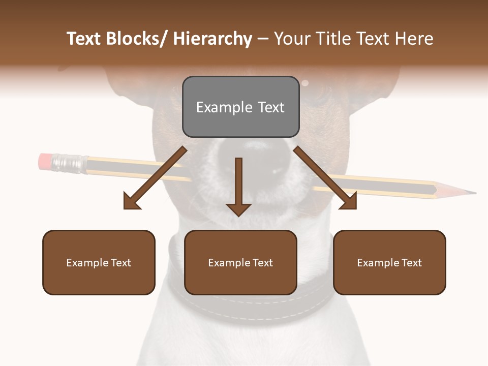 Chart Portrait Wood PowerPoint Template