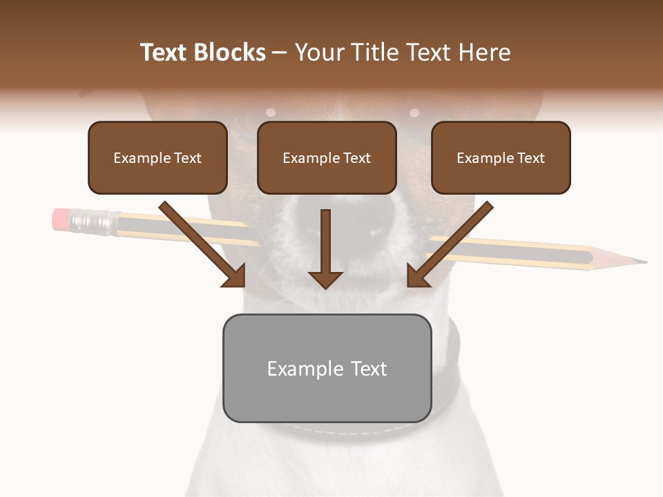Chart Portrait Wood PowerPoint Template