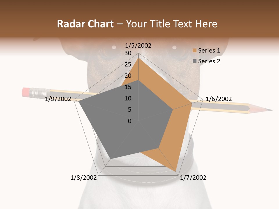 Chart Portrait Wood PowerPoint Template