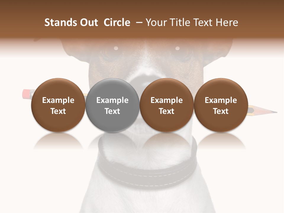 Chart Portrait Wood PowerPoint Template