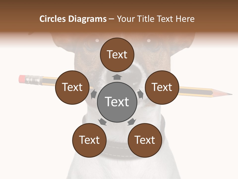Chart Portrait Wood PowerPoint Template