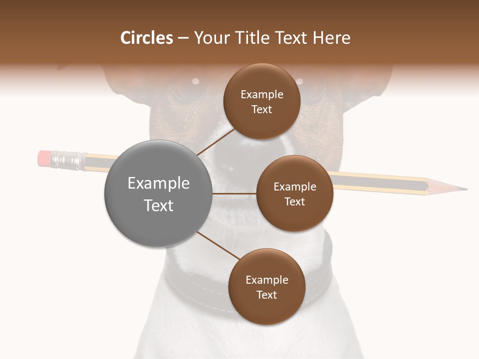 Chart Portrait Wood PowerPoint Template