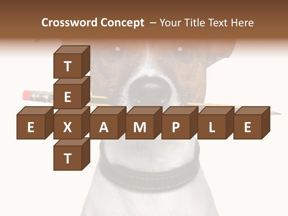 Chart Portrait Wood PowerPoint Template