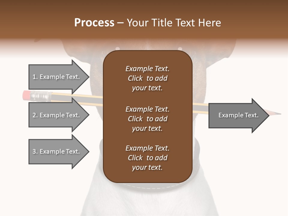 Chart Portrait Wood PowerPoint Template