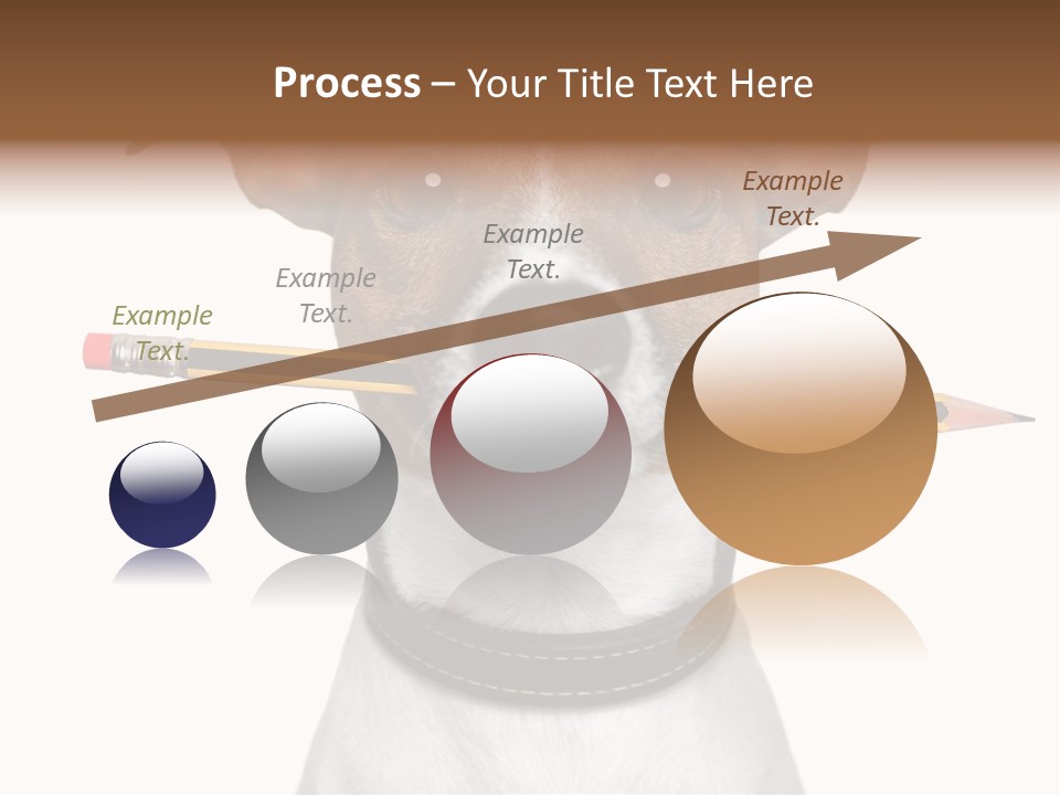 Chart Portrait Wood PowerPoint Template
