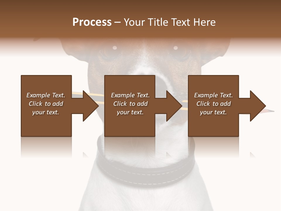 Chart Portrait Wood PowerPoint Template
