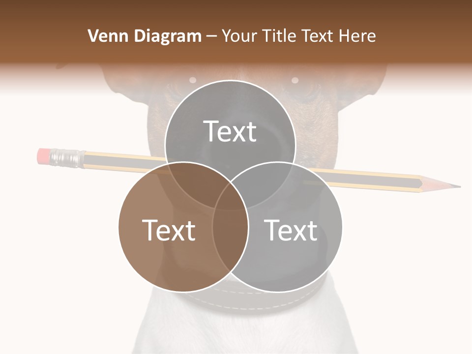 Chart Portrait Wood PowerPoint Template