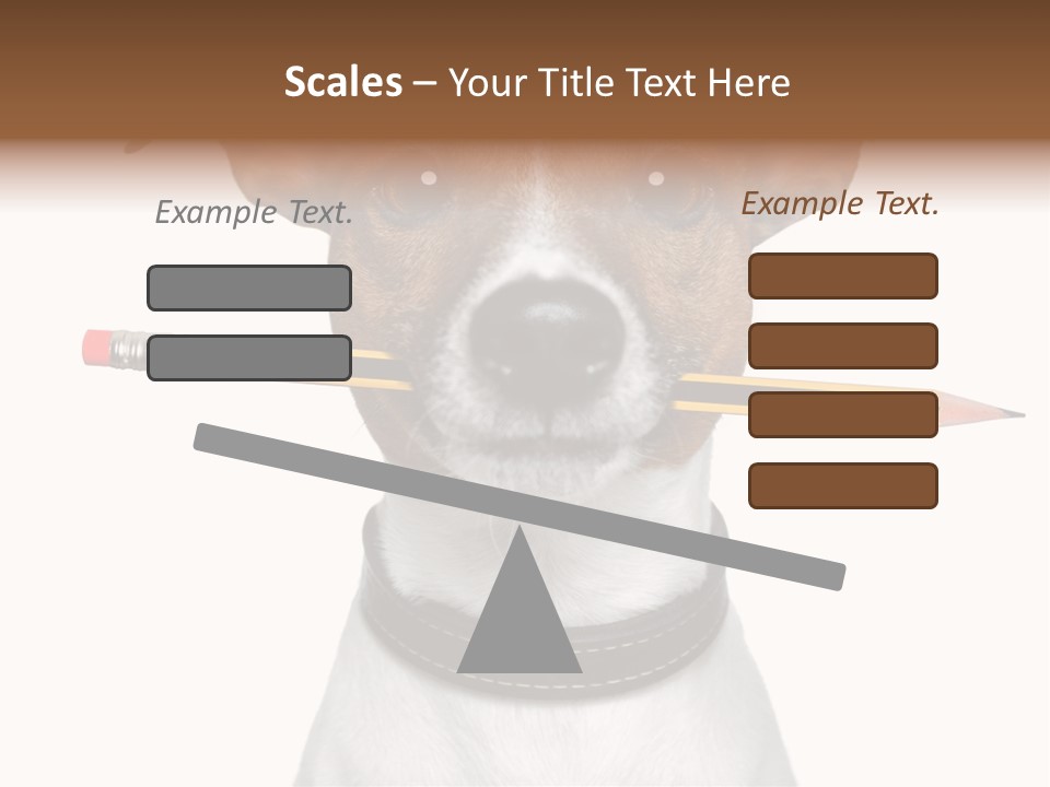 Chart Portrait Wood PowerPoint Template