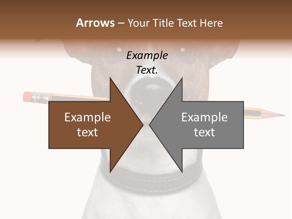 Chart Portrait Wood PowerPoint Template
