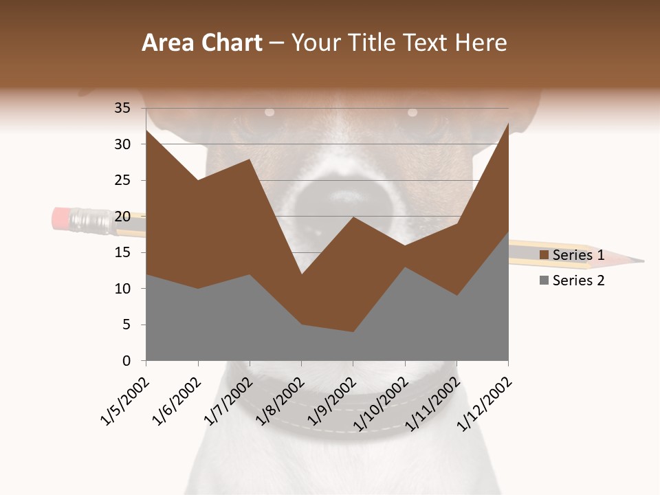 Chart Portrait Wood PowerPoint Template