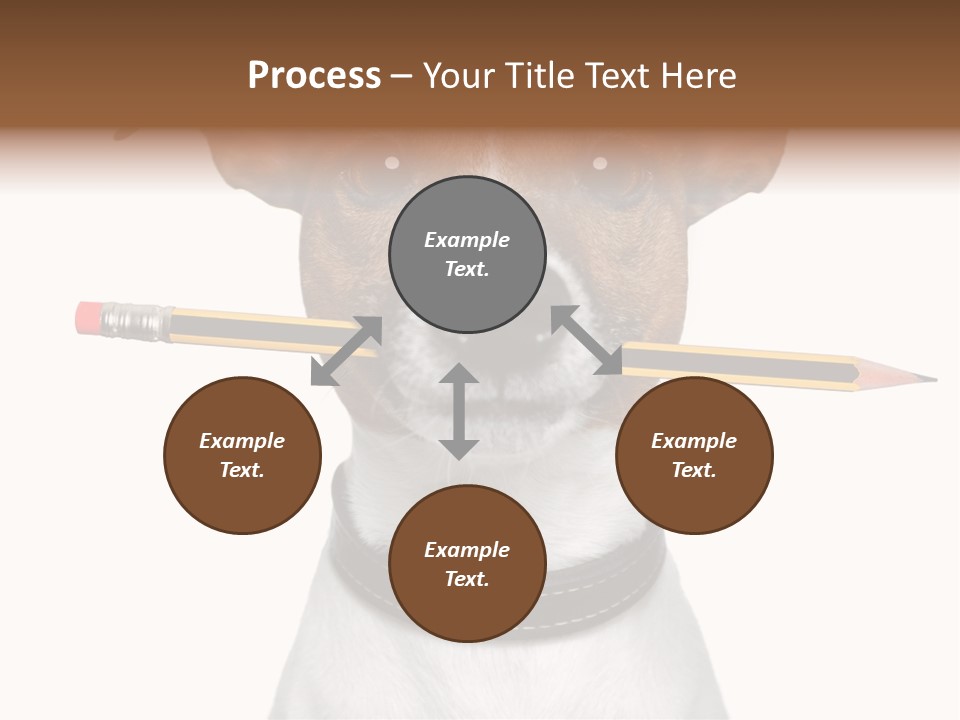 Chart Portrait Wood PowerPoint Template