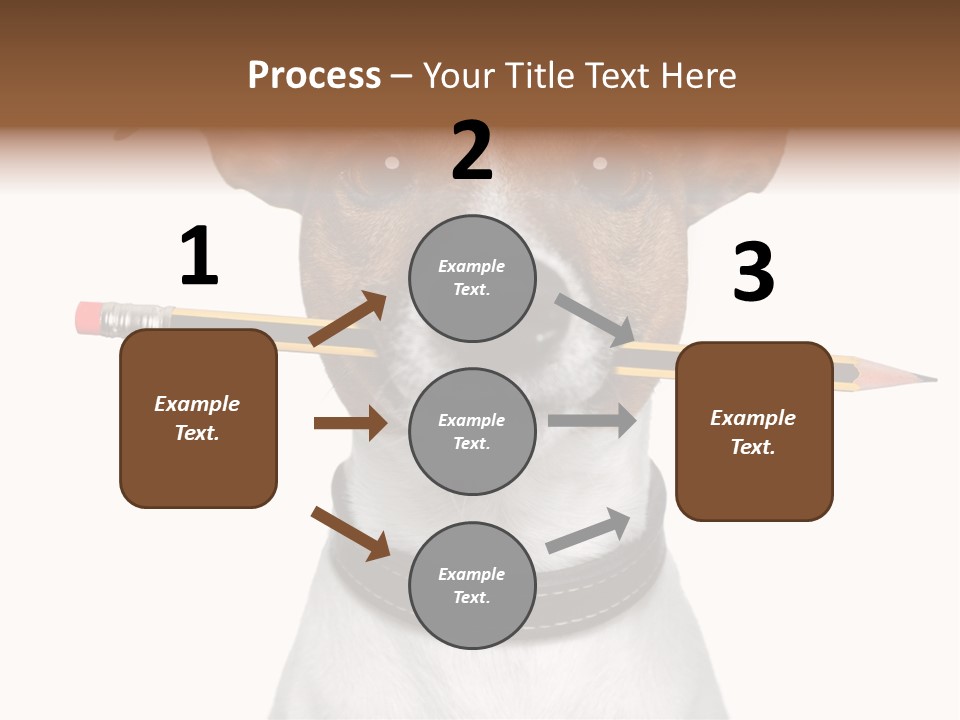 Chart Portrait Wood PowerPoint Template