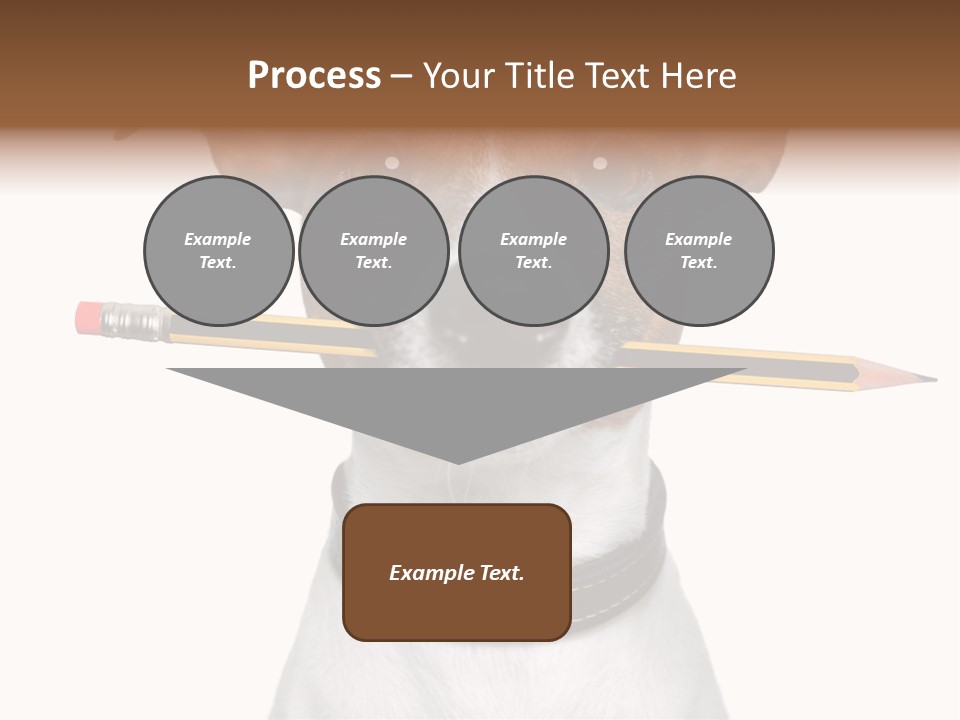 Chart Portrait Wood PowerPoint Template