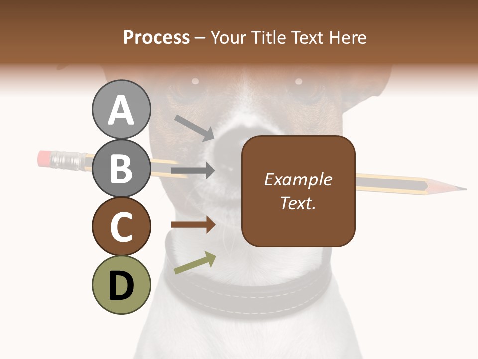 Chart Portrait Wood PowerPoint Template