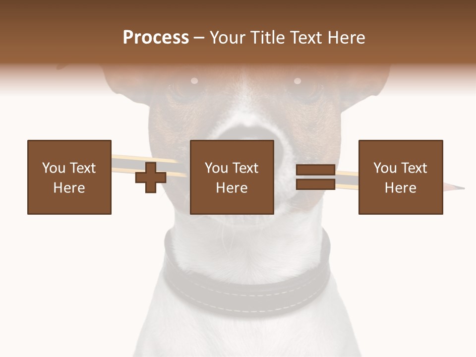 Chart Portrait Wood PowerPoint Template