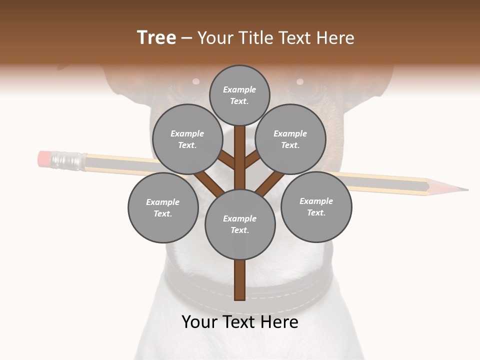 Chart Portrait Wood PowerPoint Template