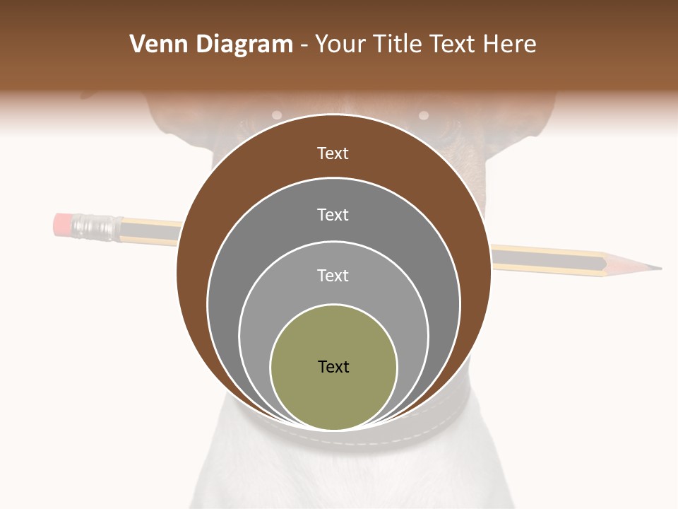Chart Portrait Wood PowerPoint Template
