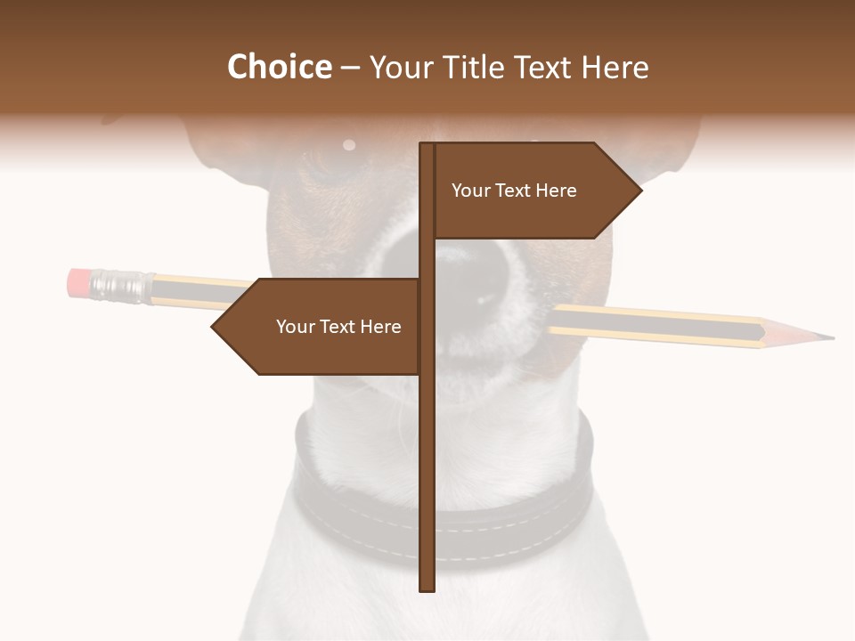 Chart Portrait Wood PowerPoint Template