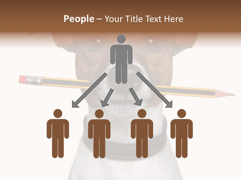 Chart Portrait Wood PowerPoint Template