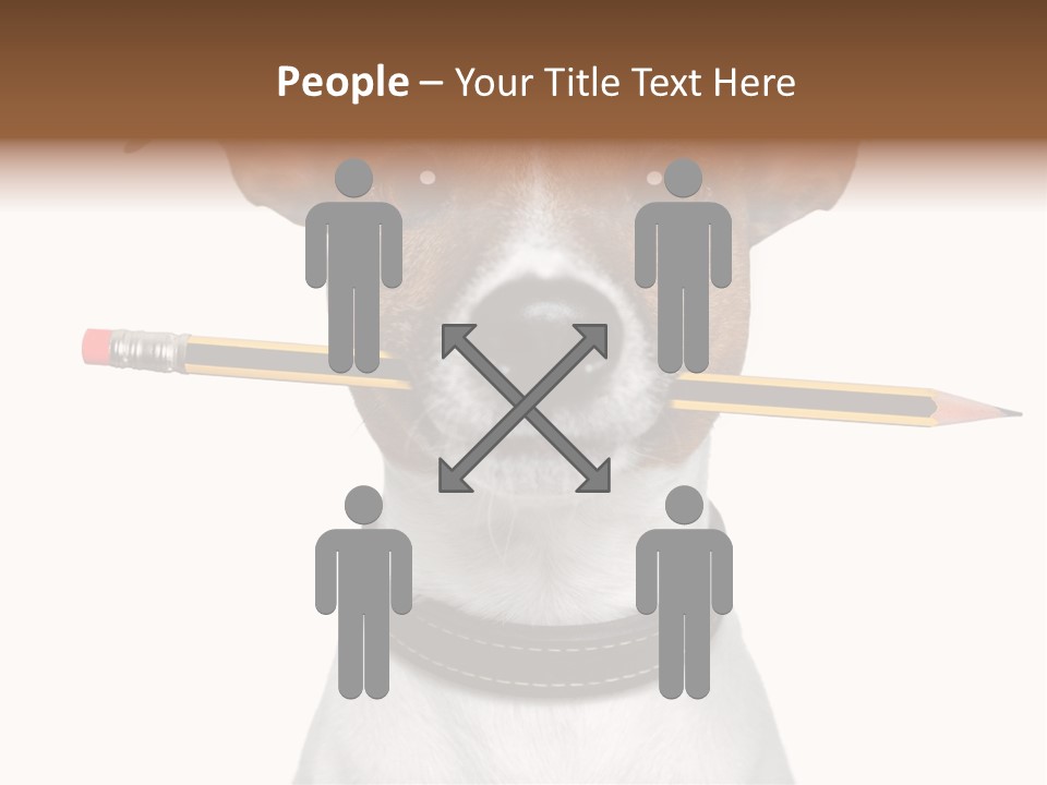 Chart Portrait Wood PowerPoint Template