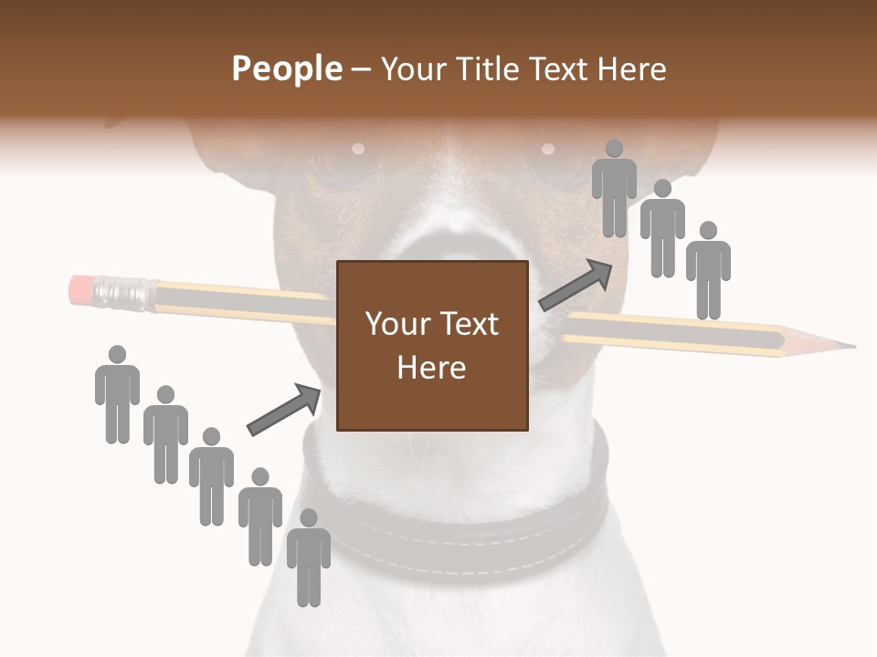 Chart Portrait Wood PowerPoint Template