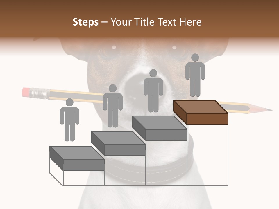 Chart Portrait Wood PowerPoint Template