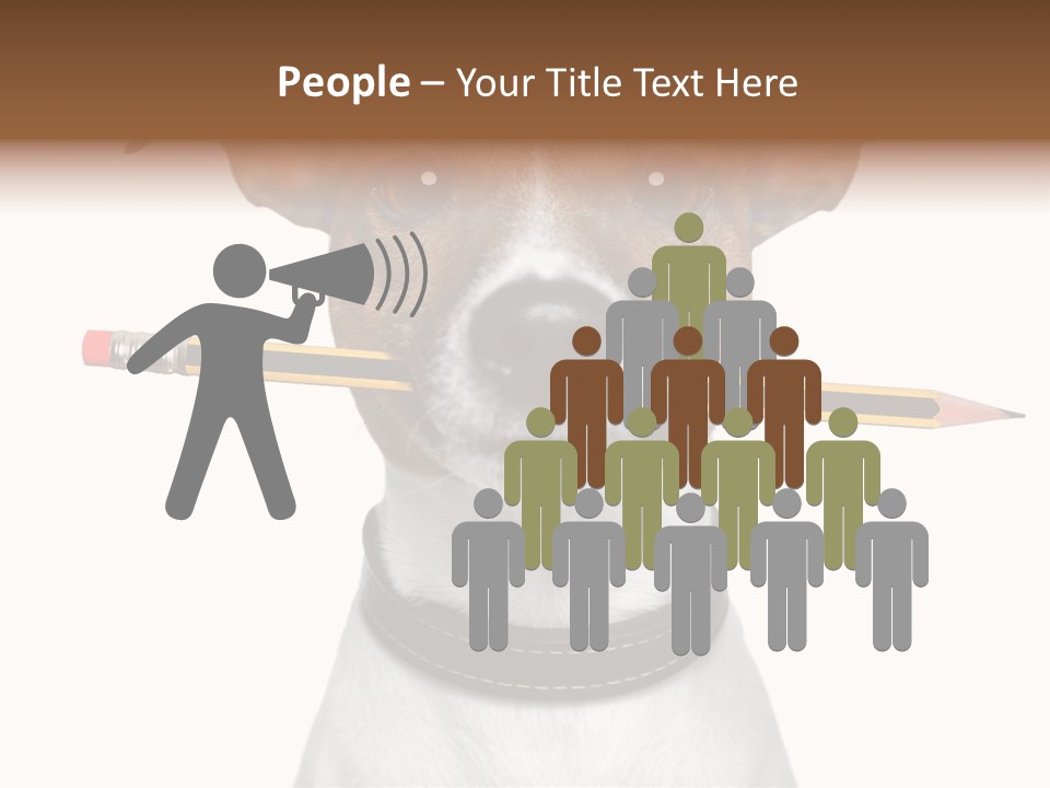 Chart Portrait Wood PowerPoint Template