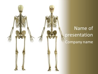 Leg Teeth White PowerPoint Template