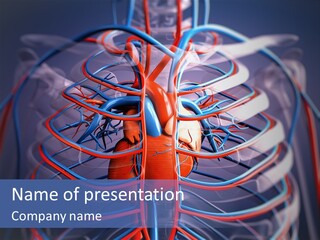 Patient Cardiology Vector PowerPoint Template