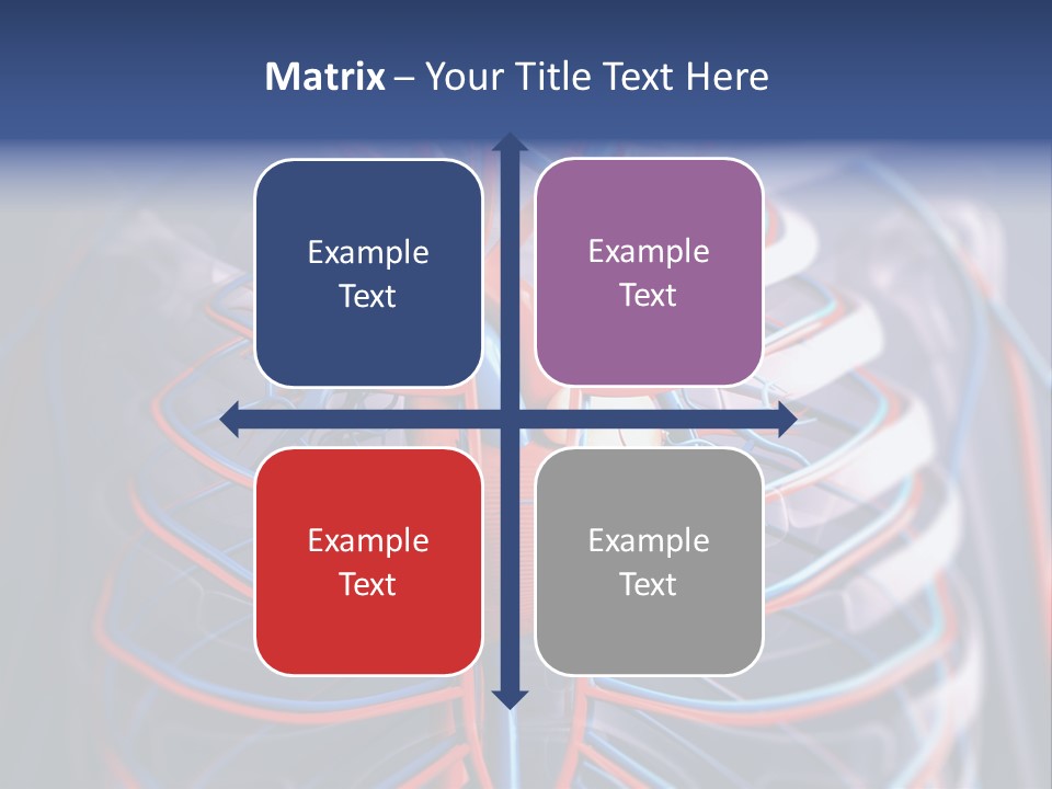 Patient Cardiology Vector PowerPoint Template