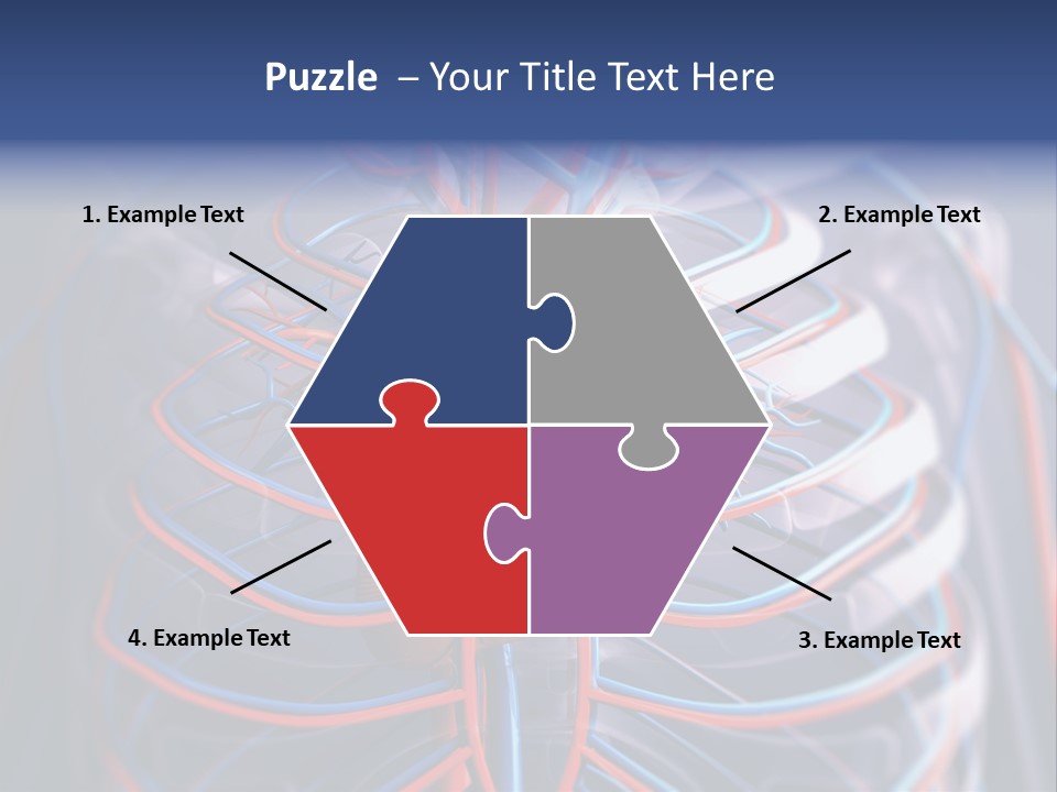 Patient Cardiology Vector PowerPoint Template
