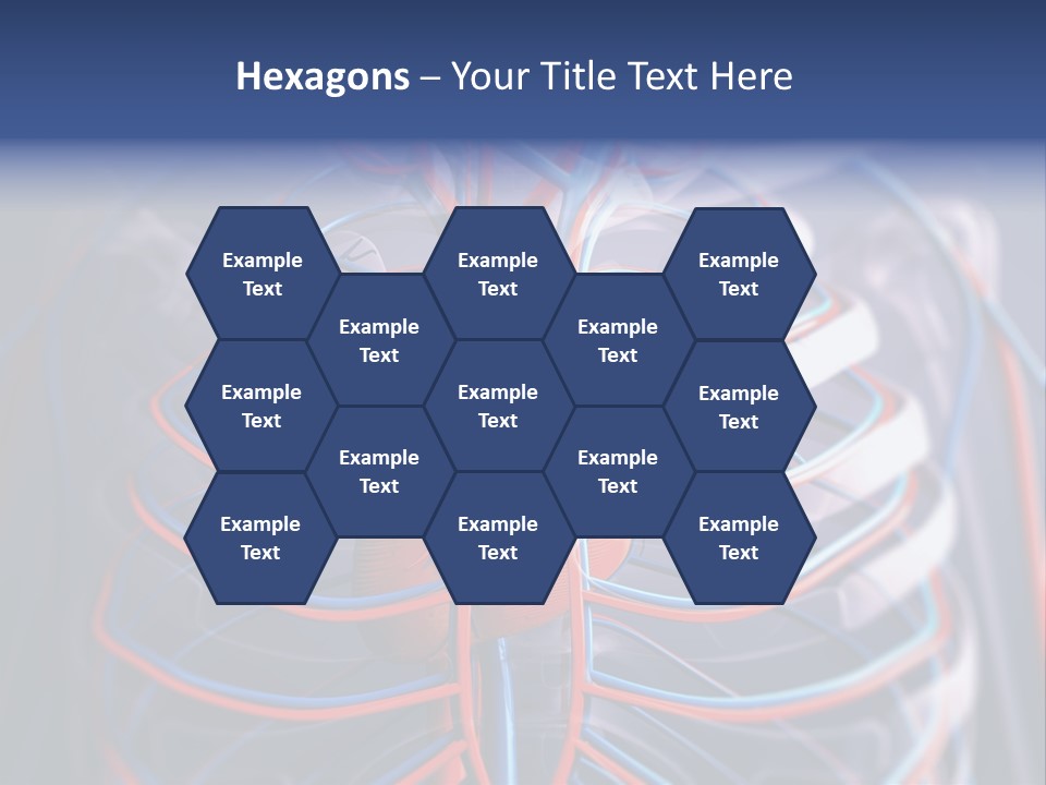 Patient Cardiology Vector PowerPoint Template