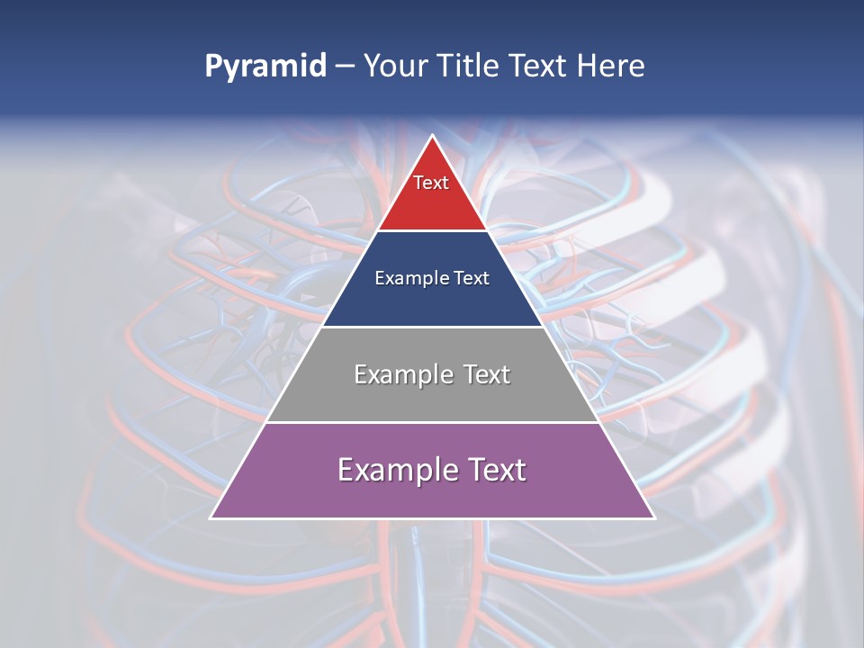 Patient Cardiology Vector PowerPoint Template